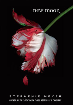 new moon 